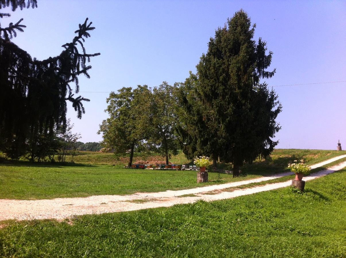 B&B De Carol Gramignazzo ภายนอก รูปภาพ